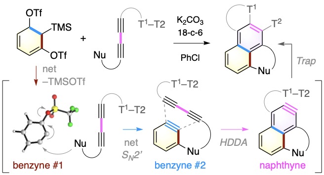 A diagram of chemical formulasDescription automatically generated